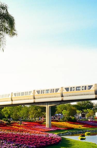 CTA Image 2